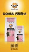 奧丁精品幼貓糧閃耀登場(chǎng)！??！